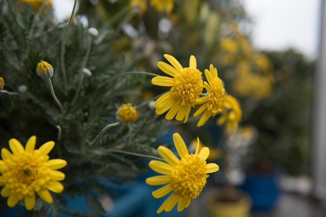 Dandy On The Beach Nea Kallikrateia - Open Up Roof - Down Town Buitenkant foto